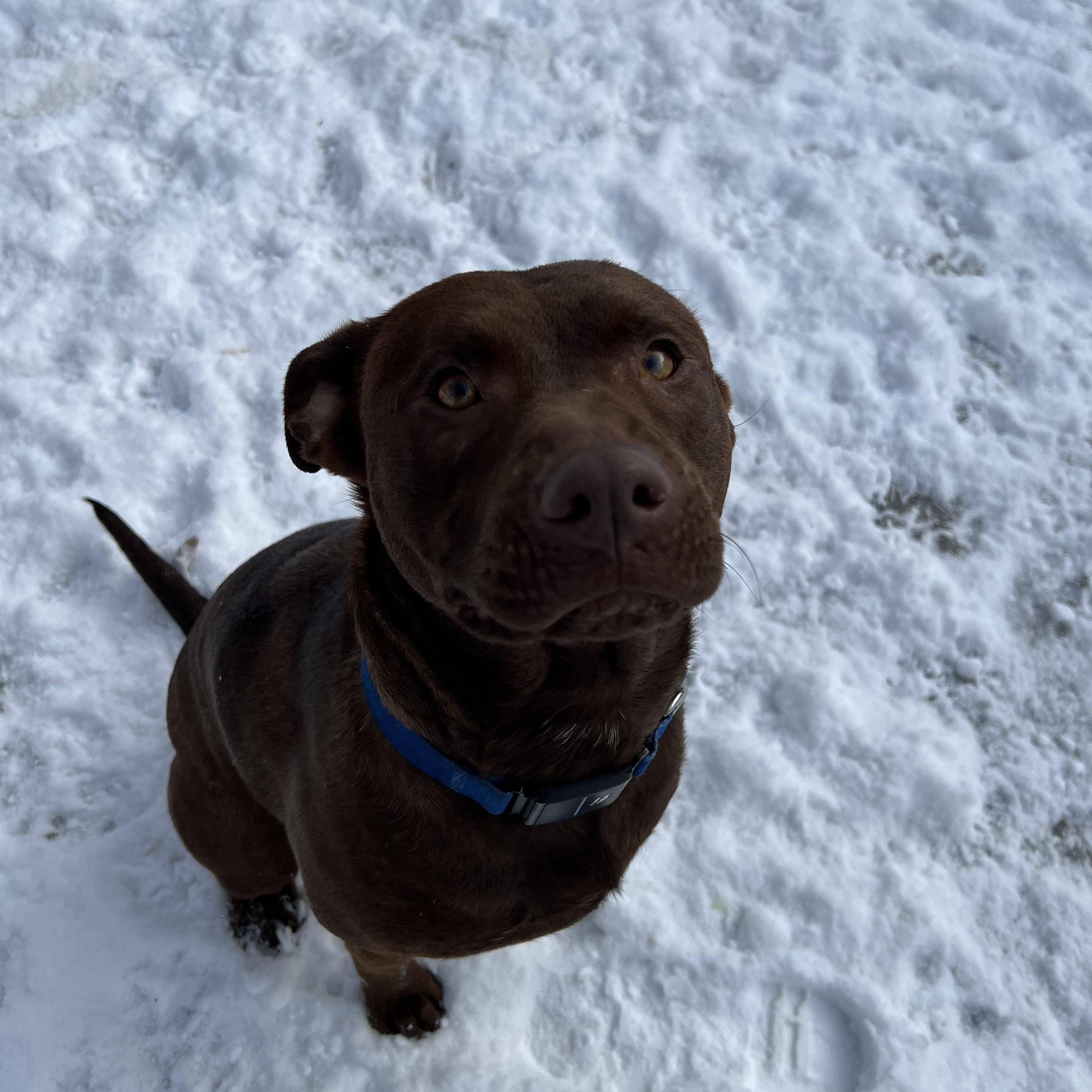 Charlotte thumbnail 5