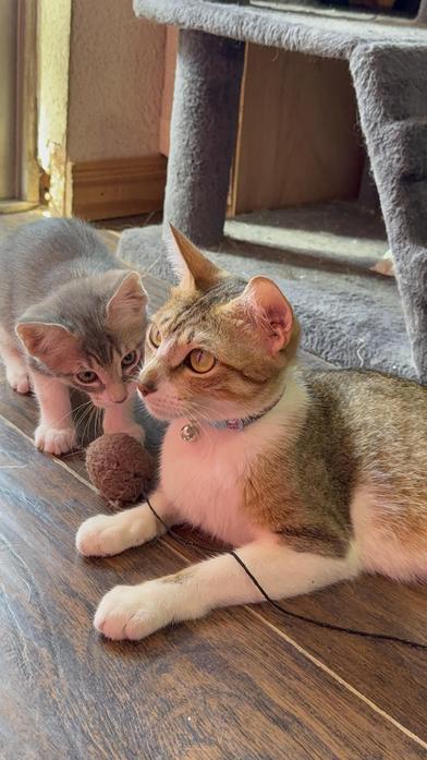 Misha — thumbnail 2