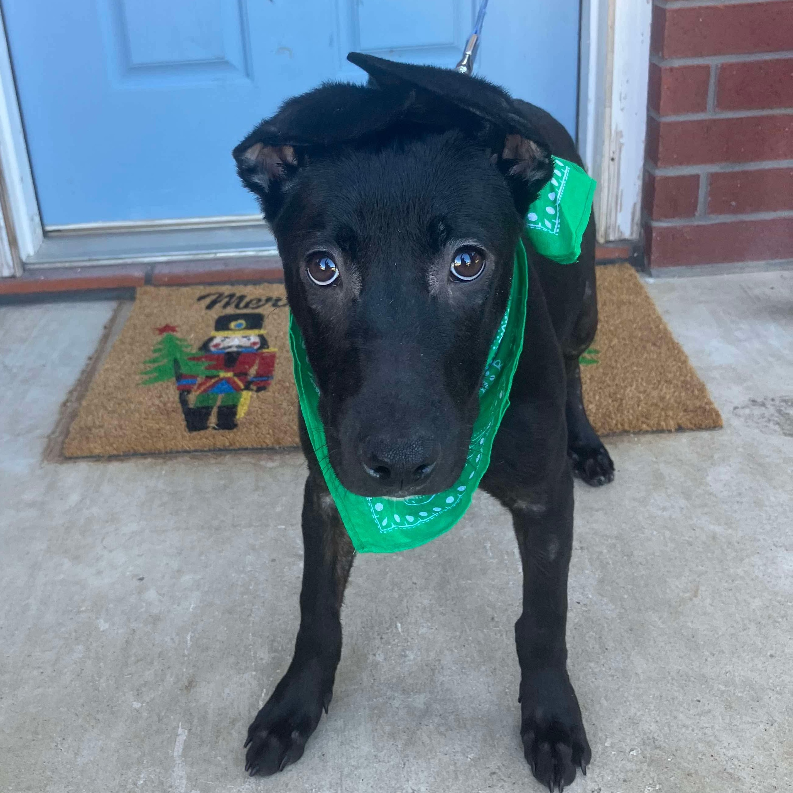 Terri — thumbnail 6