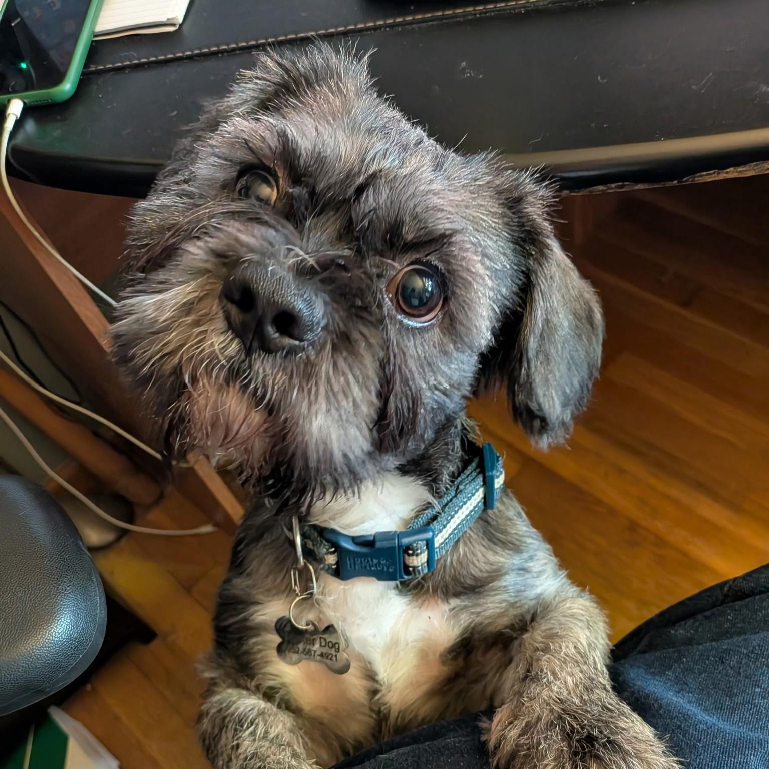 Sprocket