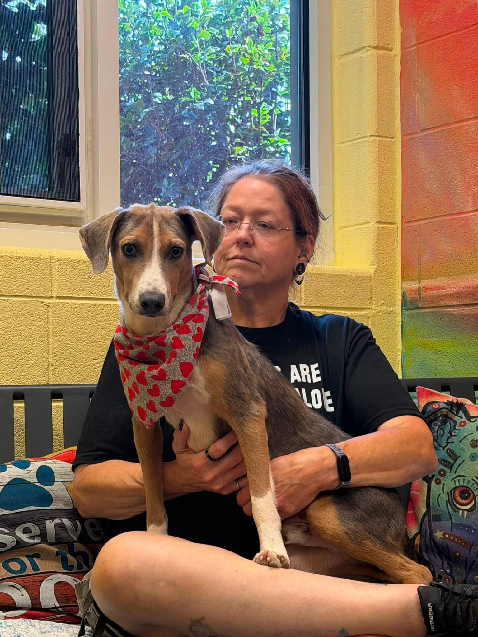 Thistle, a ADOPTABLE mixed breed in Amherst, VA image 6/6