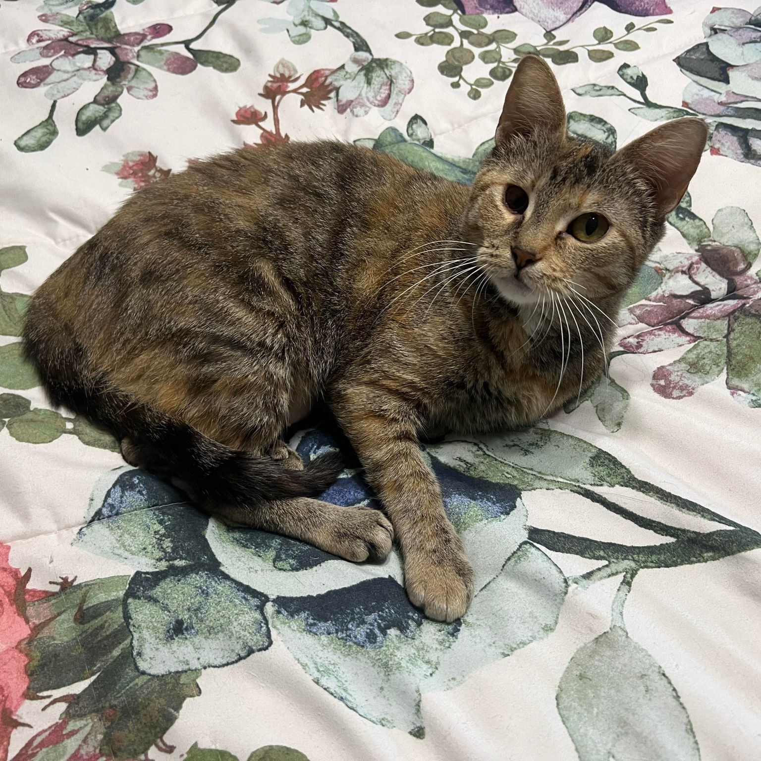 Bianca