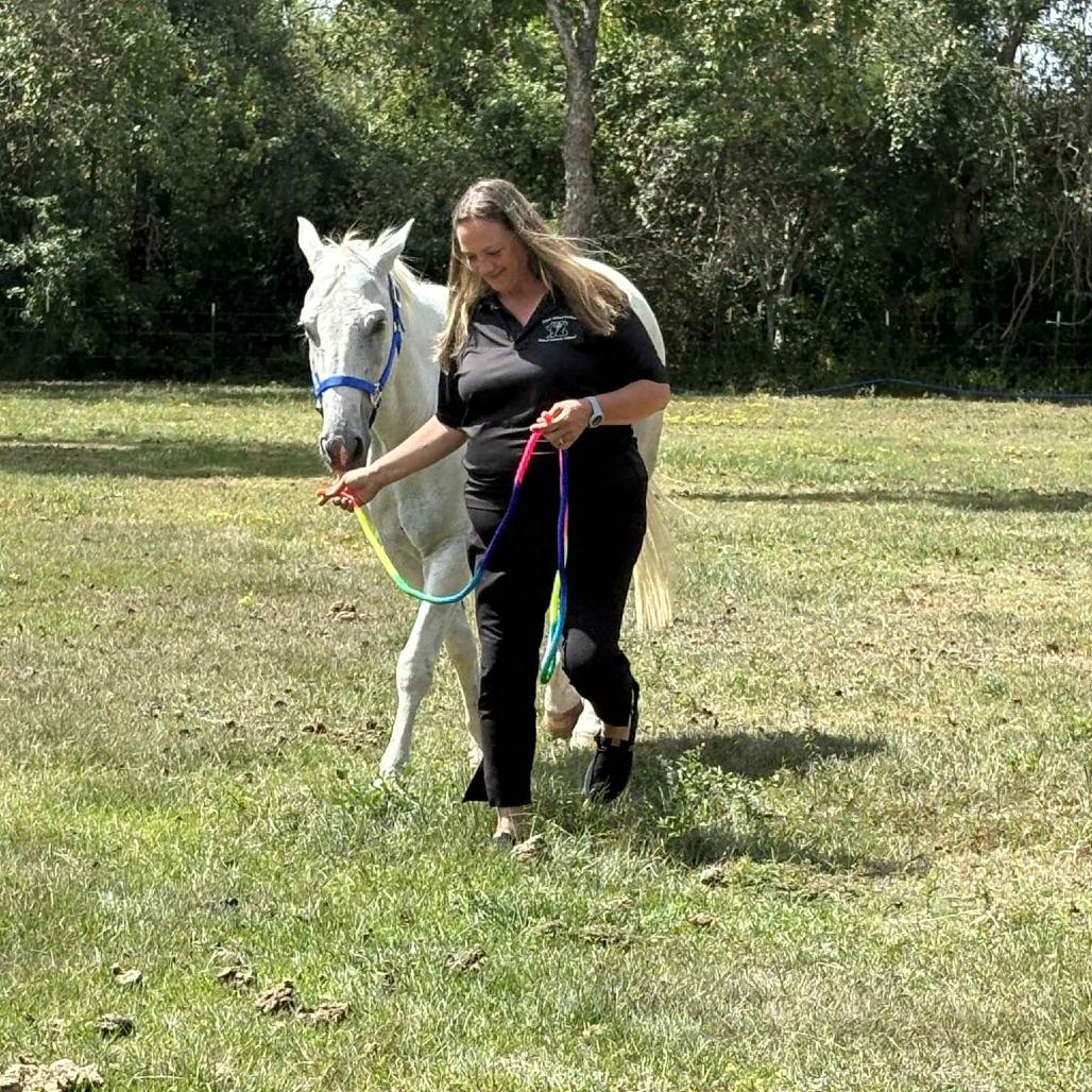 Enlarge Atreyu, a Adoptable Quarterhorse in Dickinson, TX image 3/3