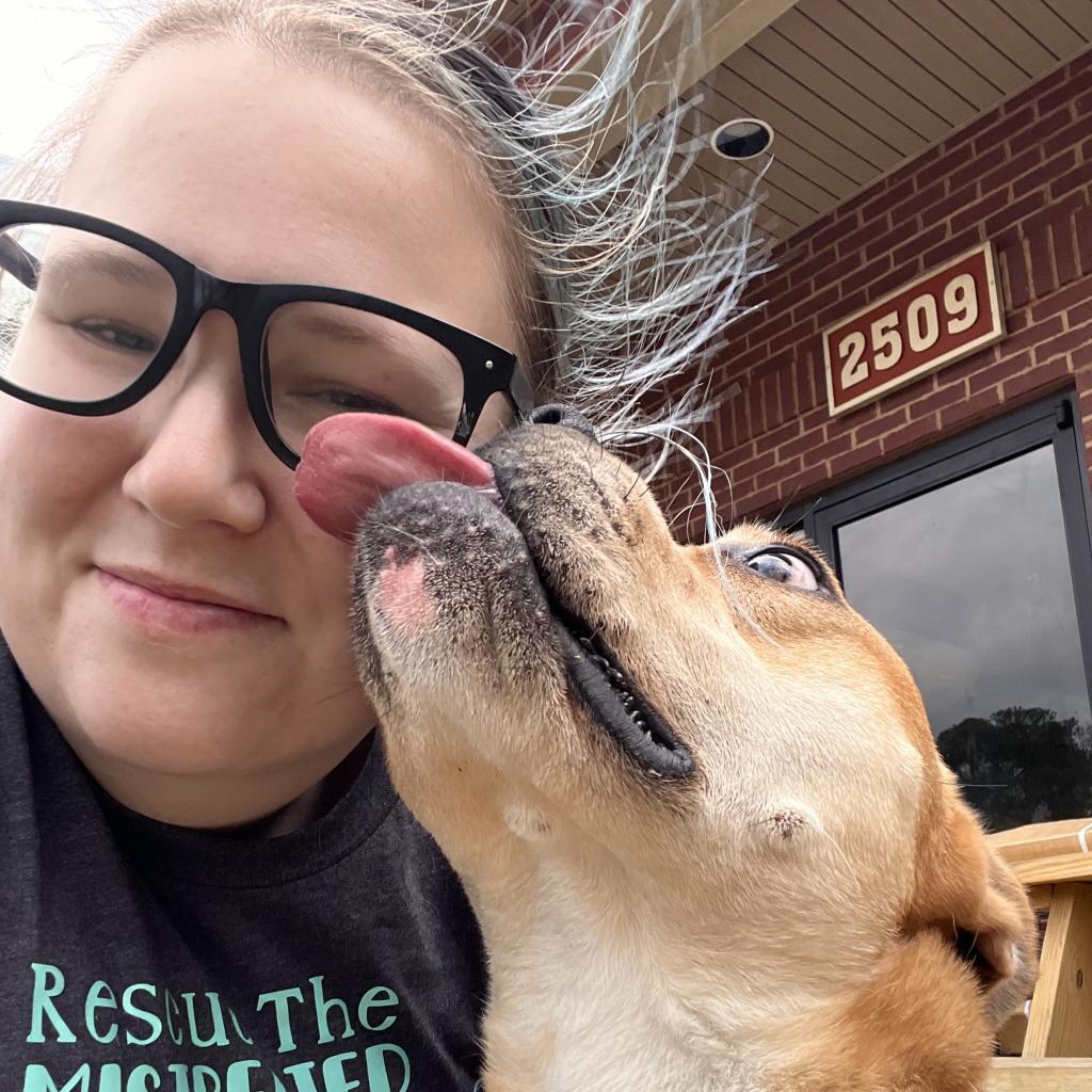 Enlarge Luna, a Adoptable Boxer in Columbus, GA image 6/6