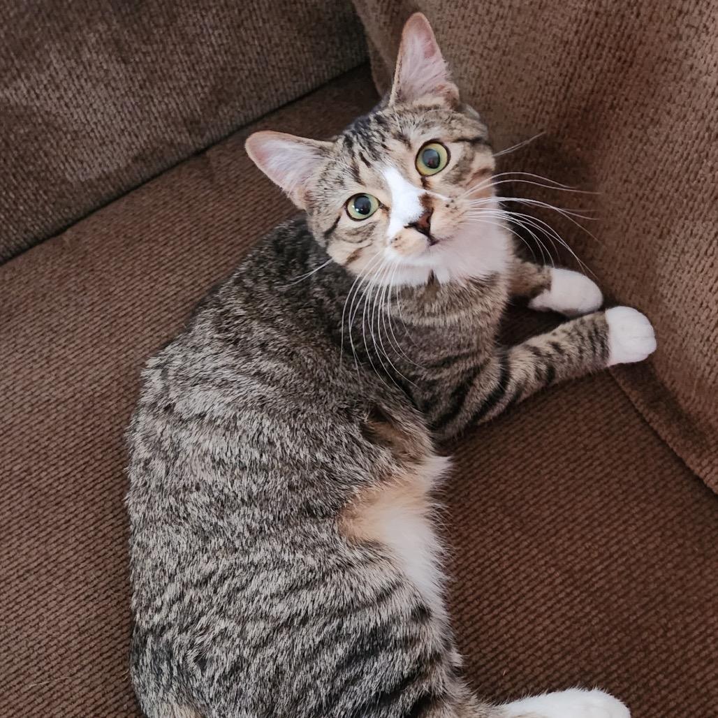 Gabby — thumbnail 2