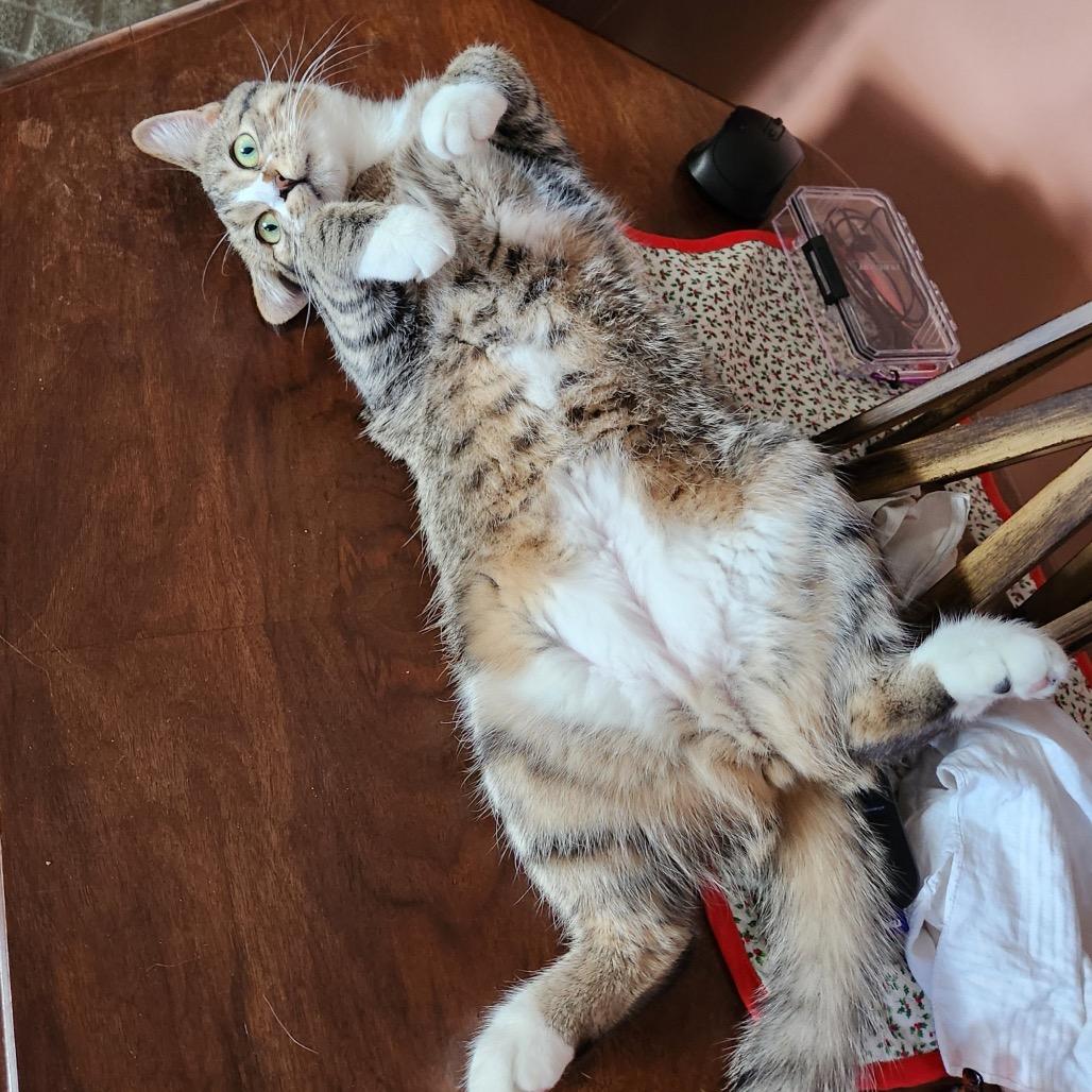 Gabby — thumbnail 4