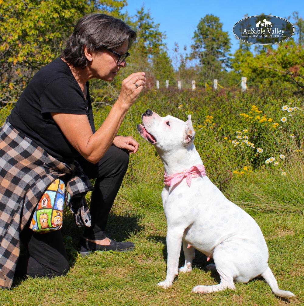 Enlarge Peaches, a Adoptable Mixed Breed in Grayling, MI image 4/6