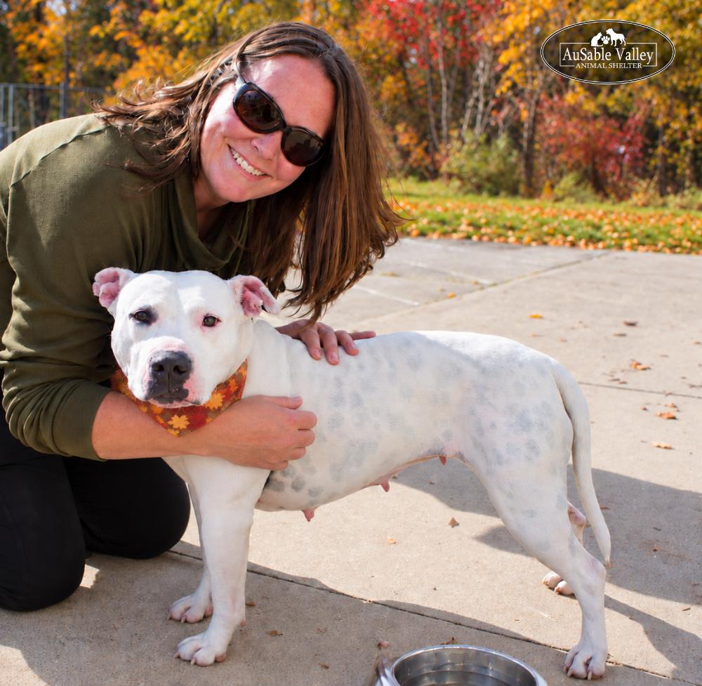 Enlarge Peaches, a Adoptable Mixed Breed in Grayling, MI image 6/6
