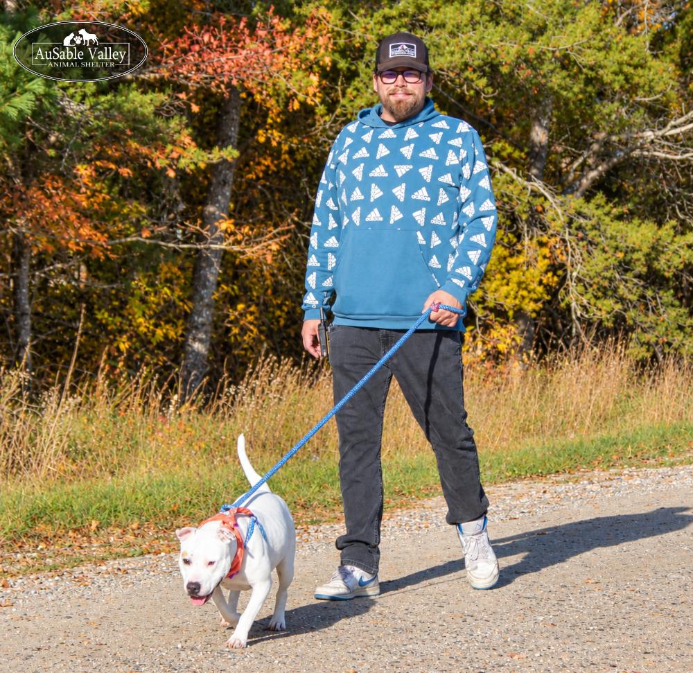 Enlarge Peaches, a Adoptable Mixed Breed in Grayling, MI image 4/6