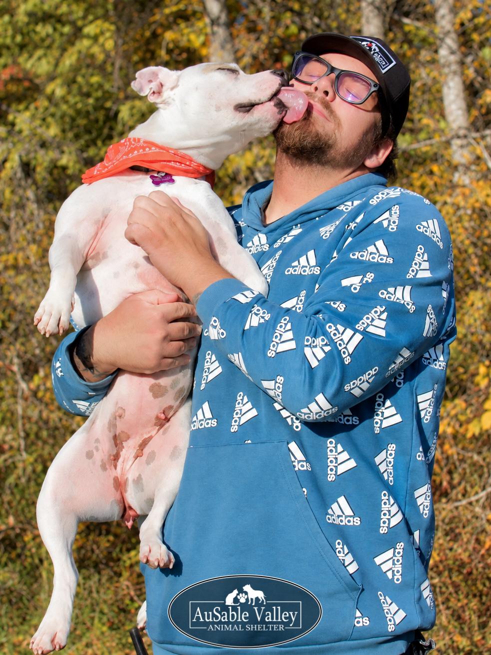 Enlarge Peaches, a Adoptable Mixed Breed in Grayling, MI image 3/6