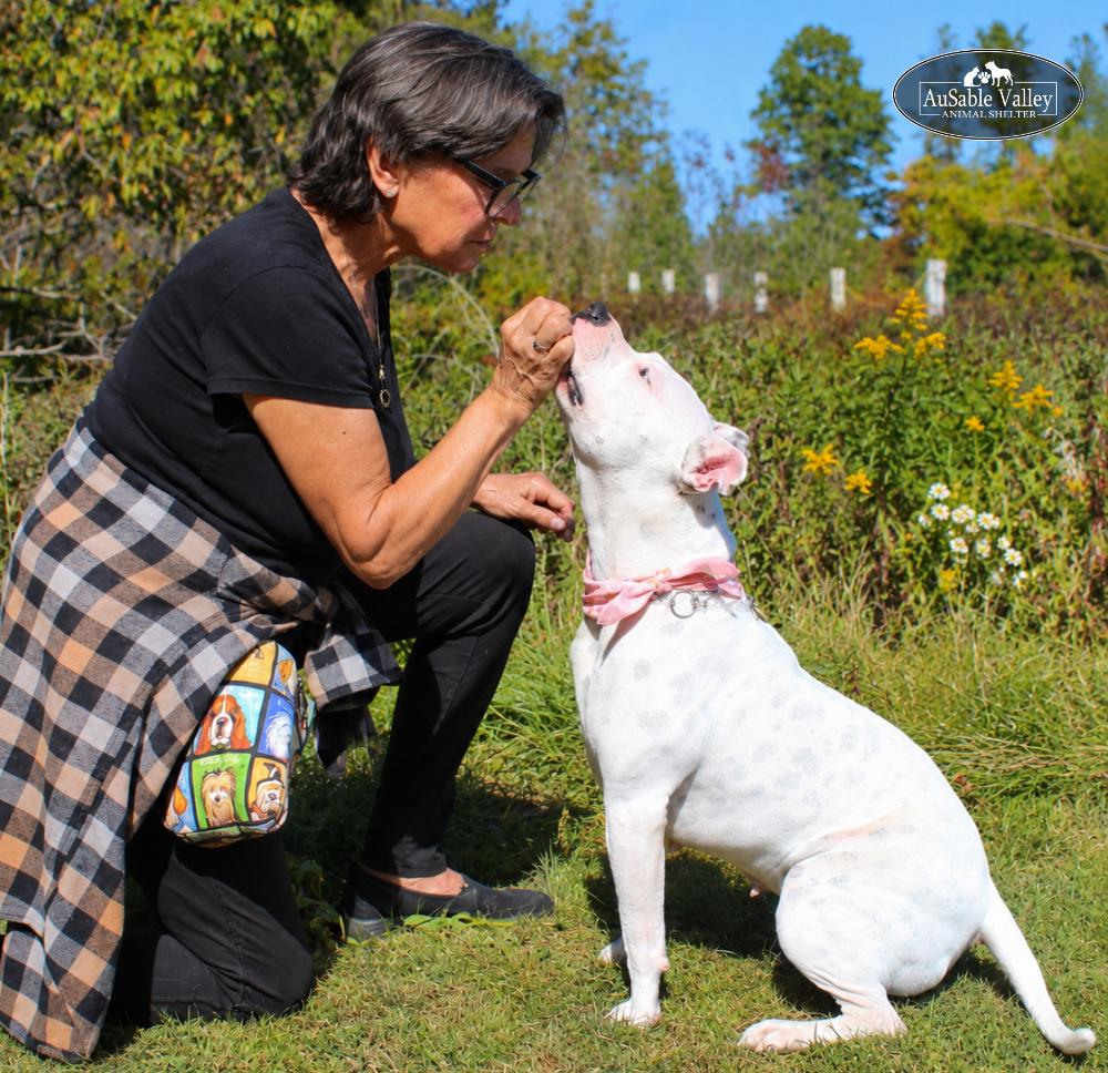 Enlarge Peaches, a Adoptable Mixed Breed in Grayling, MI image 5/6