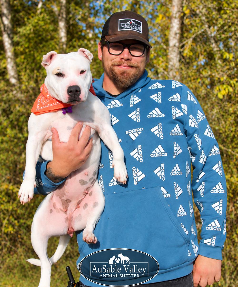 Enlarge Peaches, a Adoptable Mixed Breed in Grayling, MI image 2/6
