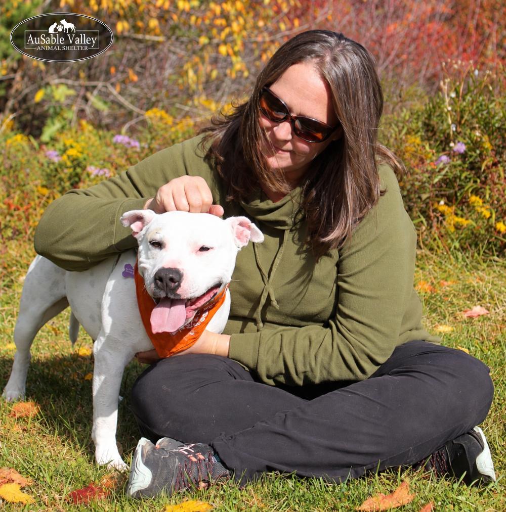Enlarge Peaches, a Adoptable Mixed Breed in Grayling, MI image 5/6