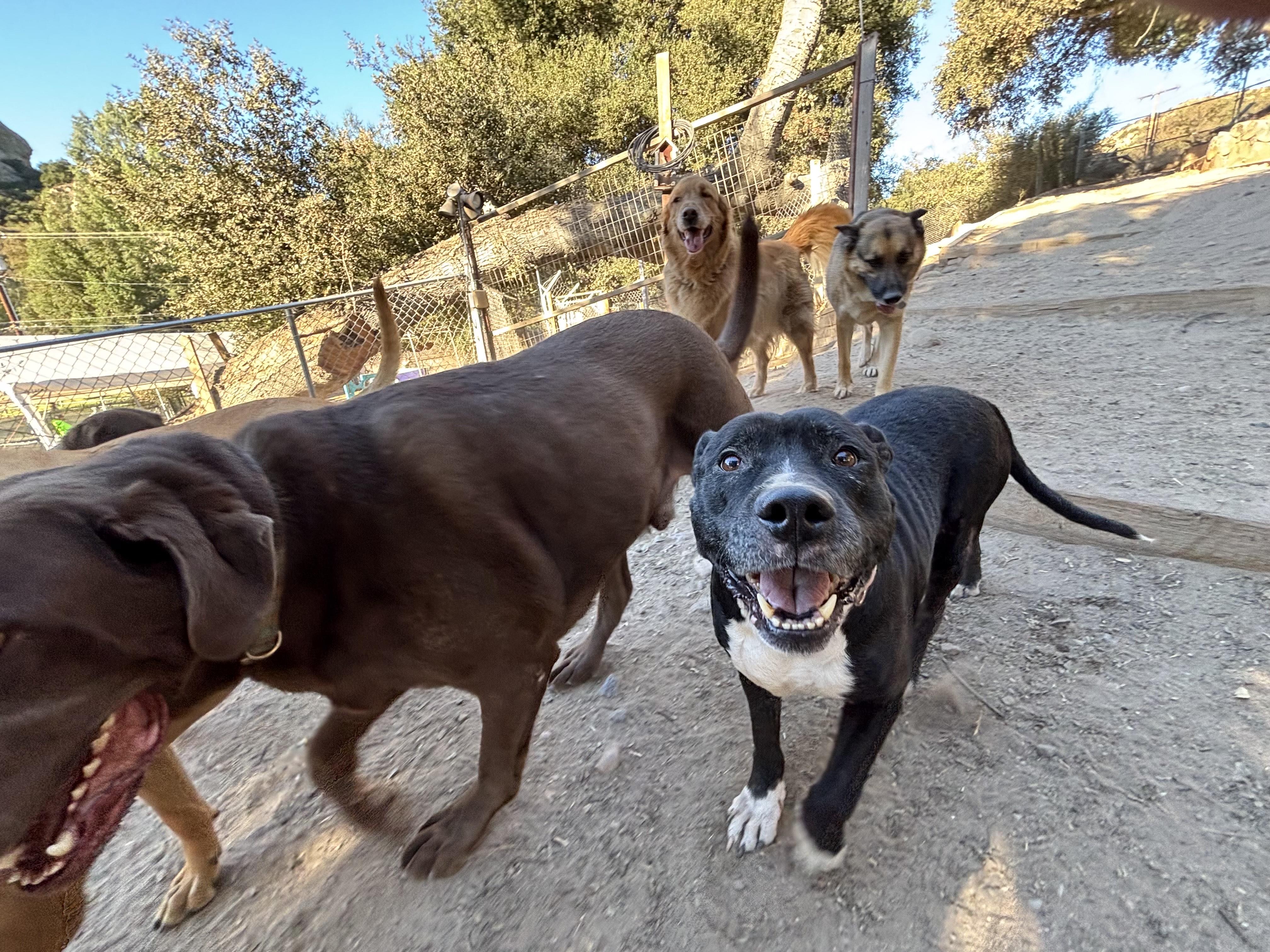 Mia-We Pay All Expenses for this Gentle Girl