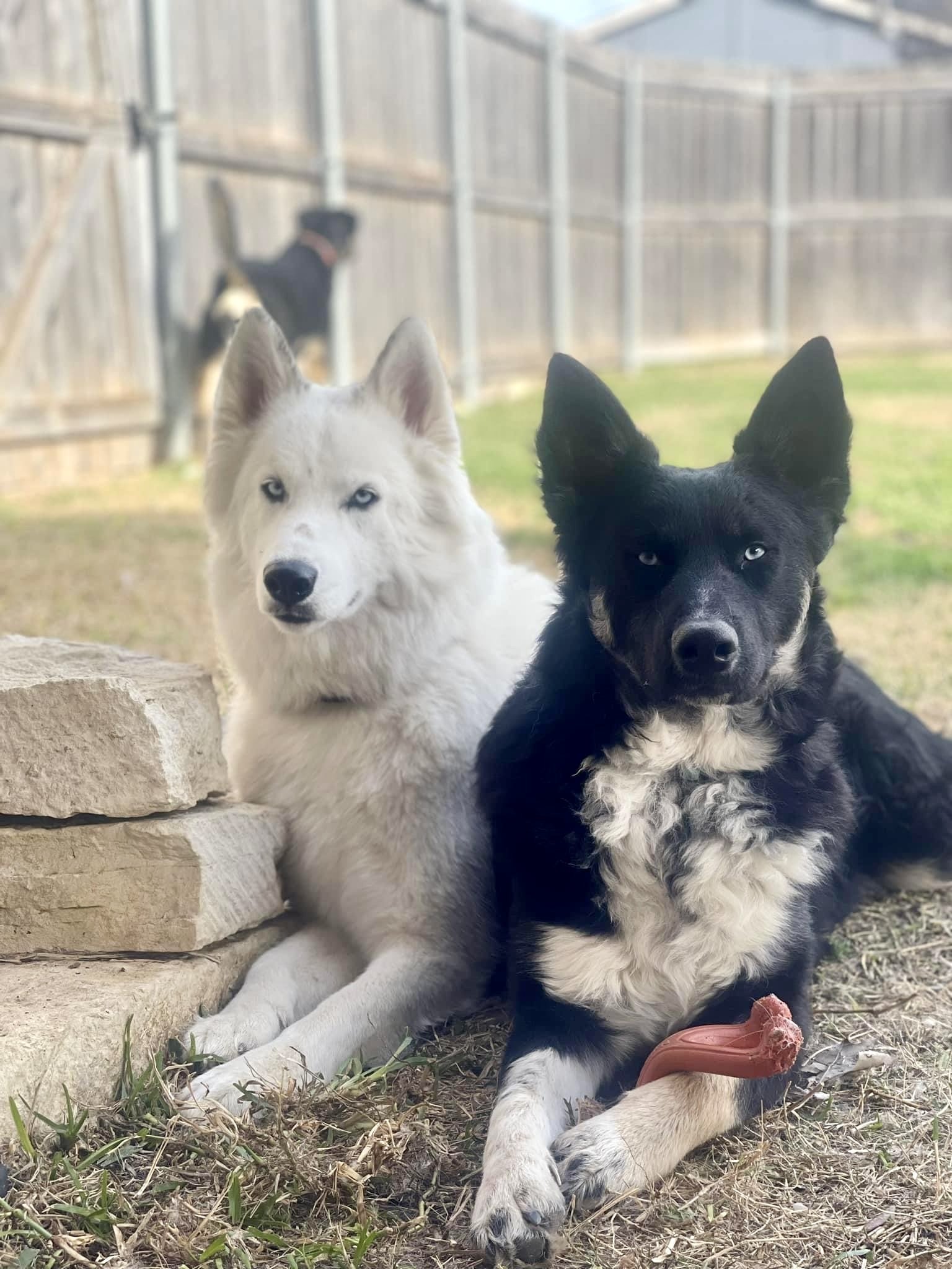 Jackson **Special medical needs** 2