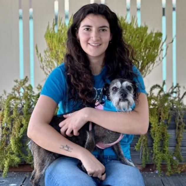 Vienna, a Adoptable mixed breed in Pacific Grove, CA image 3/5