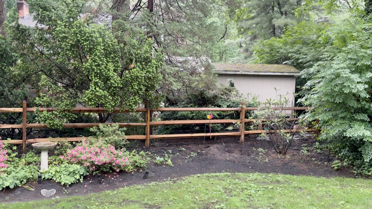 Enlarge Gus, a Adoptable mixed breed in Warrington, PA video 4/6