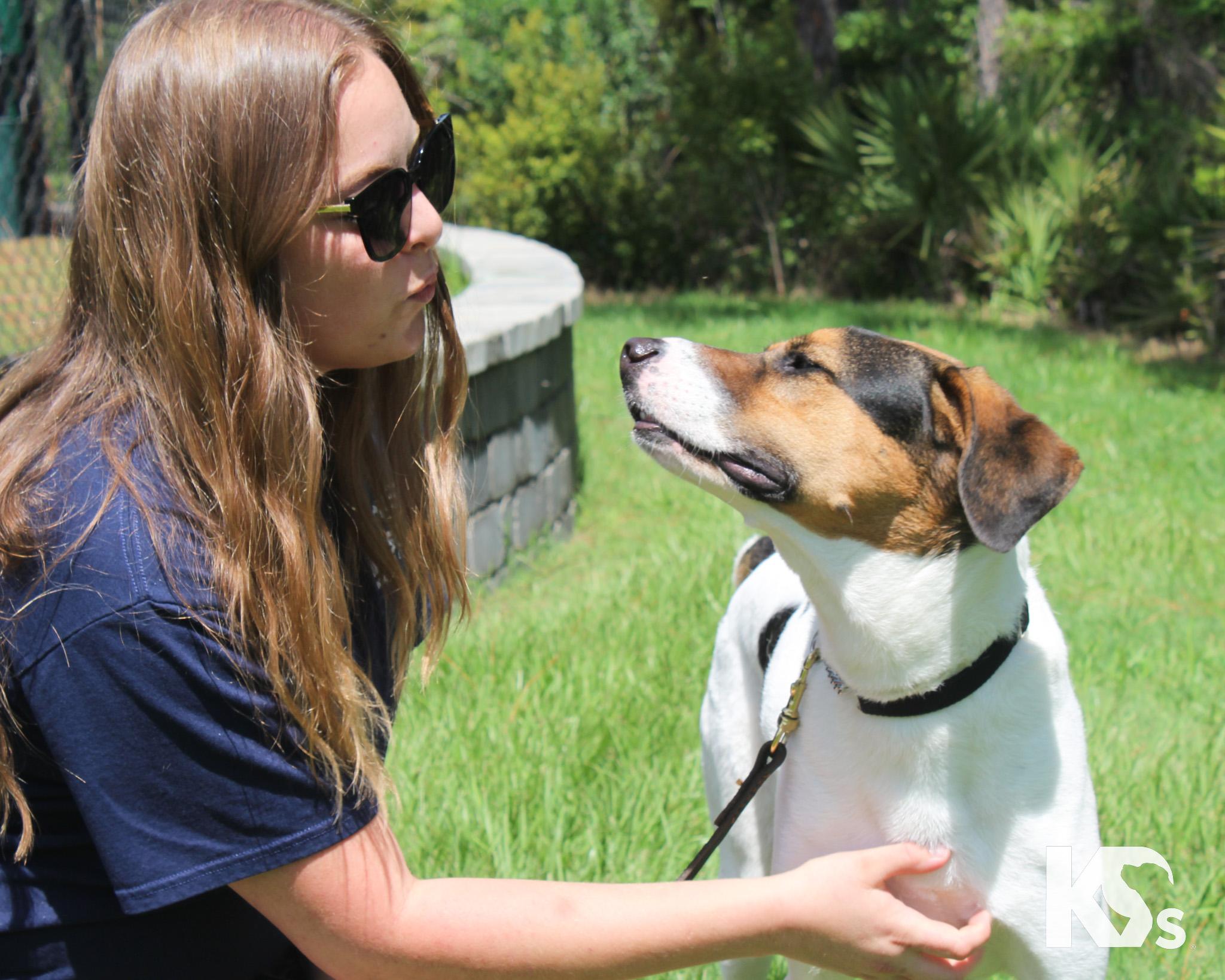 Isaac, an adoptable mixed breed in Ponte Vedra, FL image 2/5
