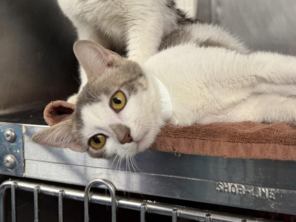 Hawaii — thumbnail 2