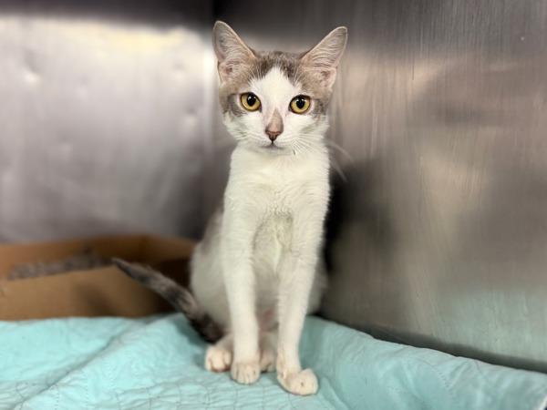 Hawaii — thumbnail 3