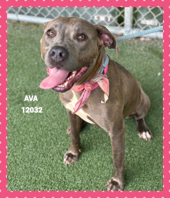 AVA