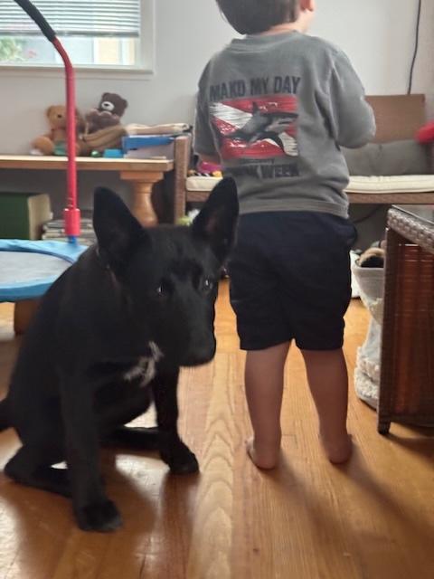 Nala photo 4