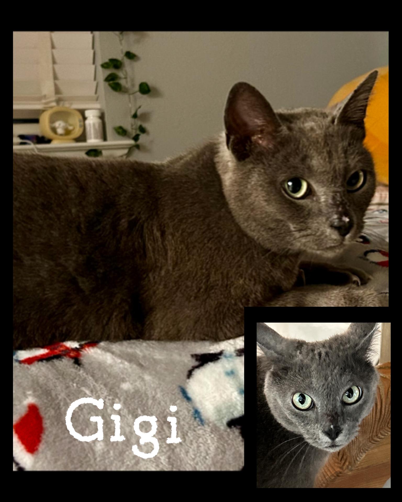 Gigi photo 1