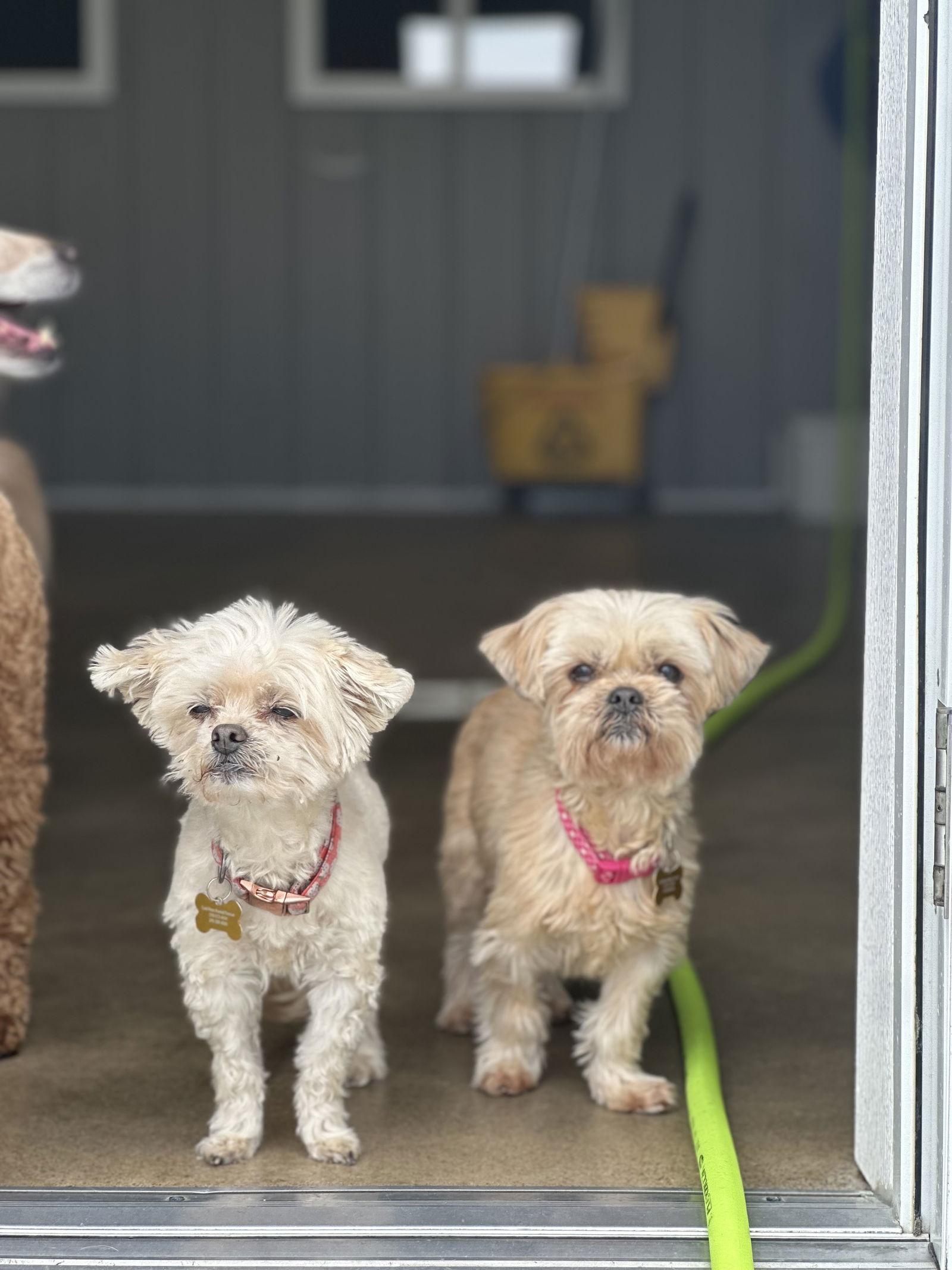 Sophie & Ashlynn thumbnail 3