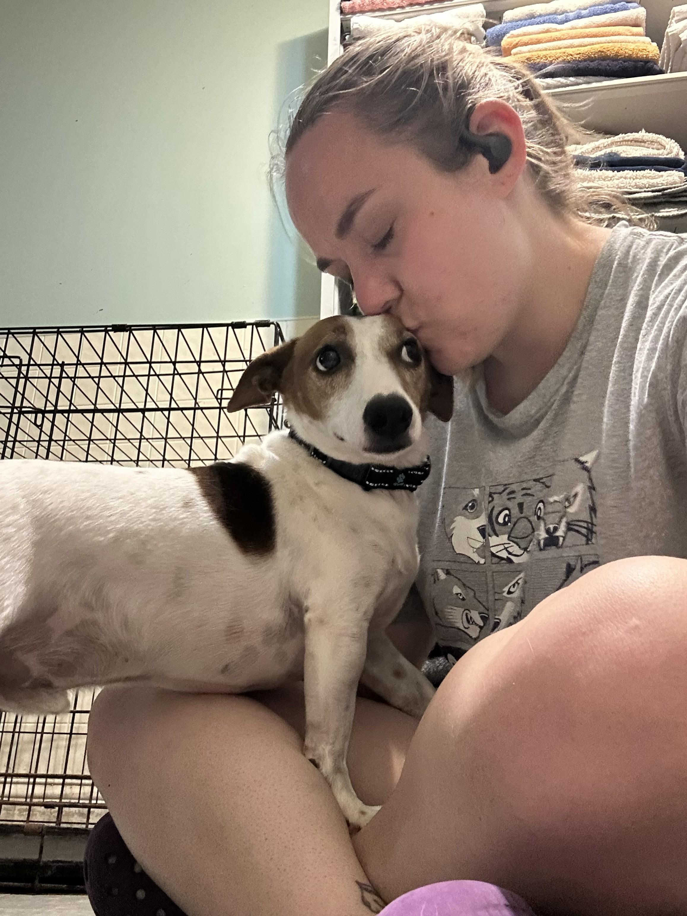 Baxter, a ADOPTABLE Jack Russell Terrier in Amelia, OH image 2/3