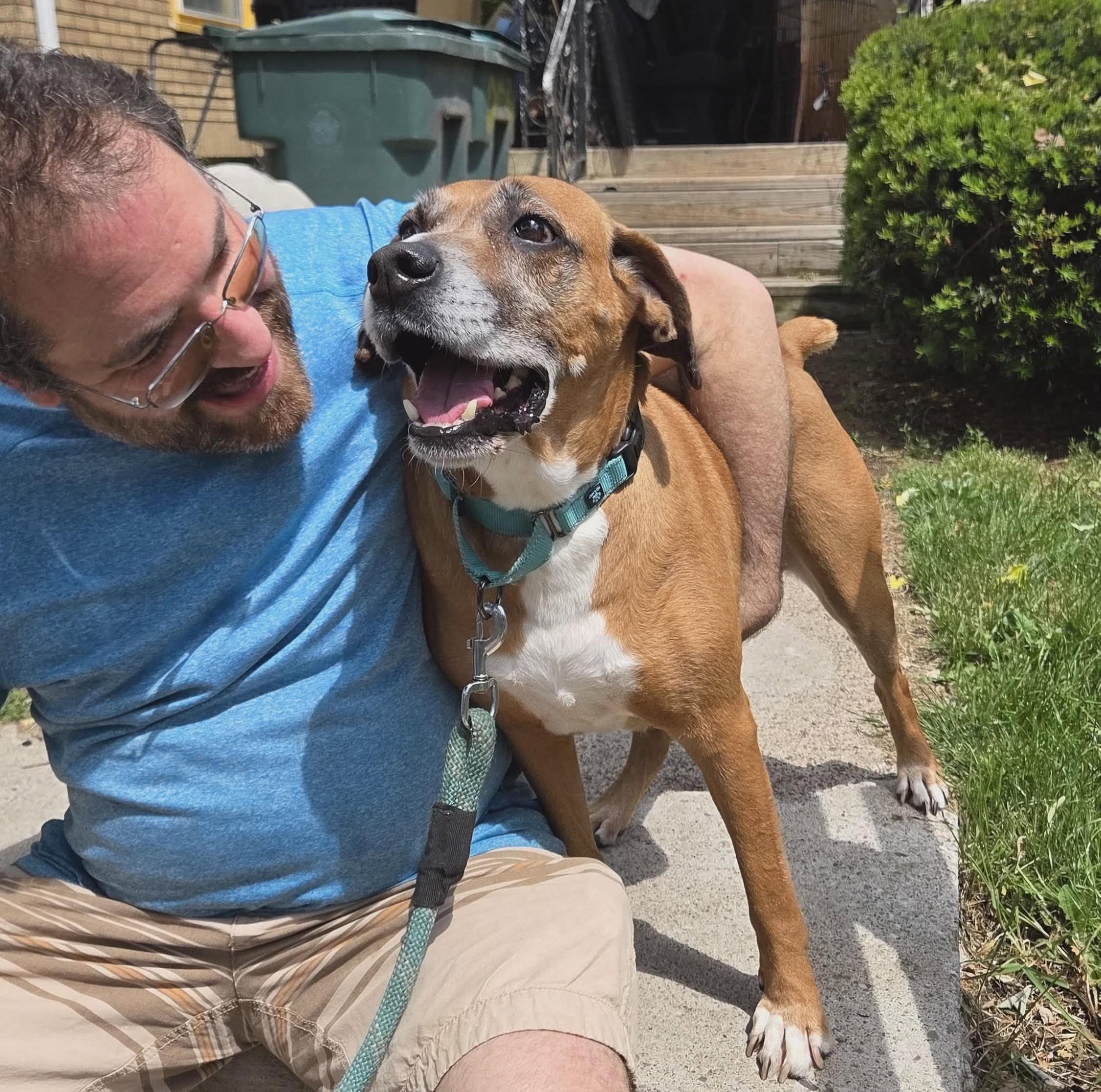 Sammy - Adopt or Forever Foster, a Adoptable mixed breed in Rochester, NY image 2/6