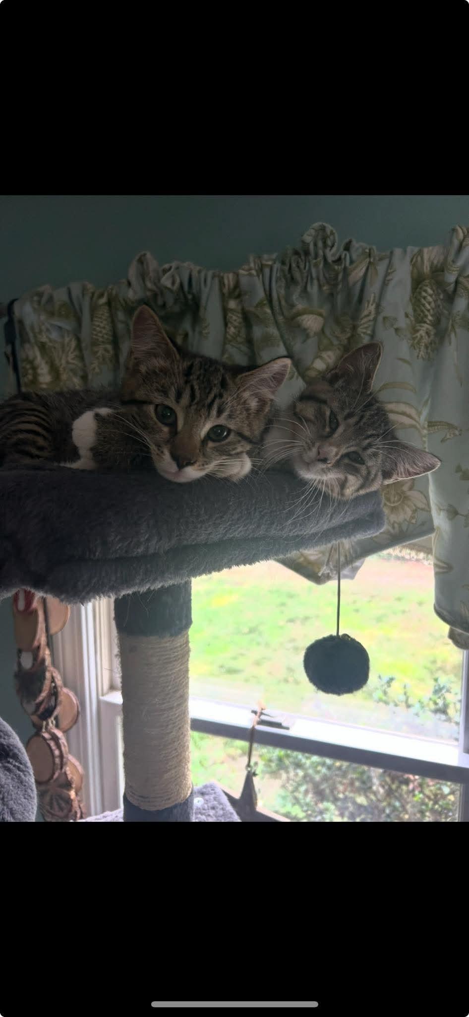 Fonzie & Richie