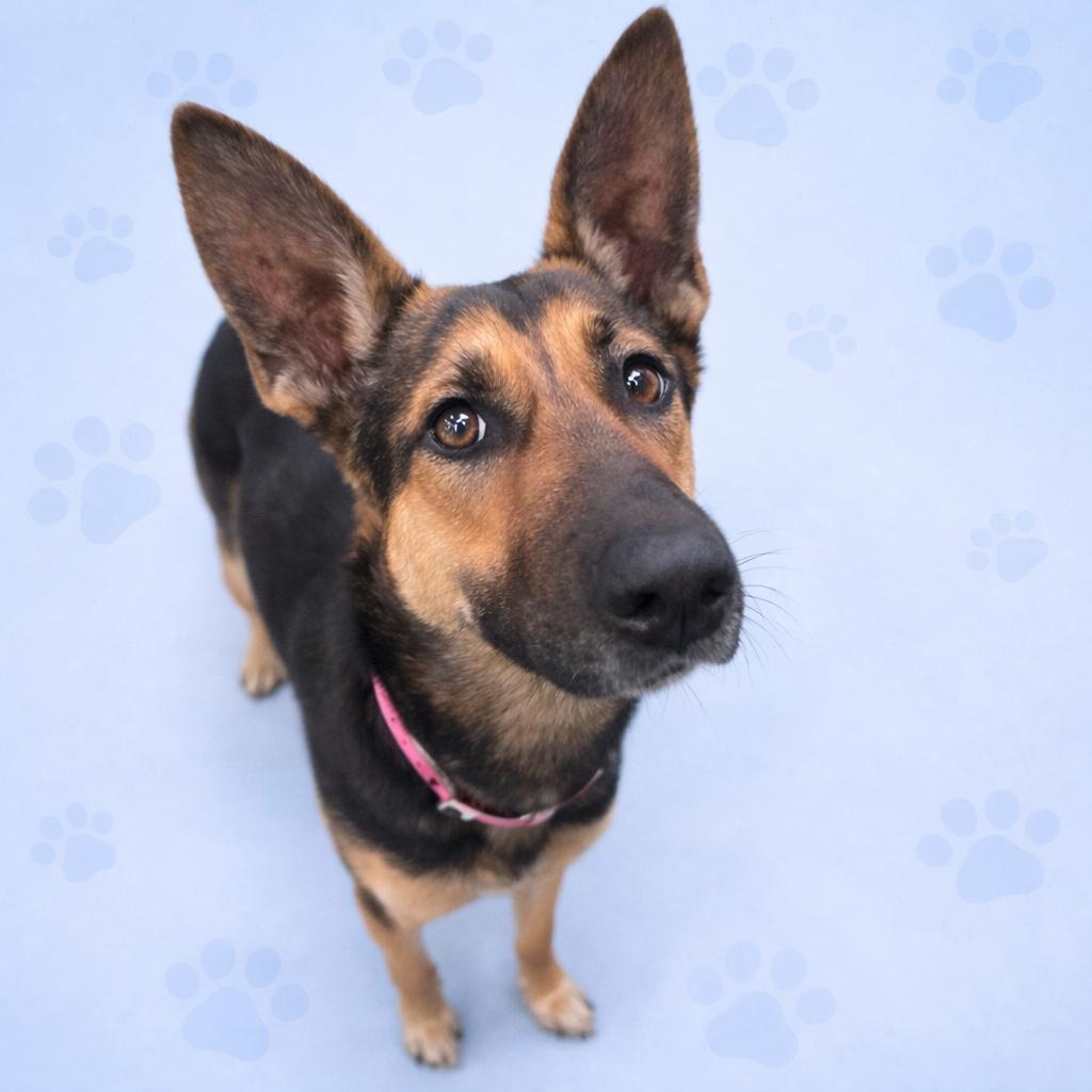 SUNSTORM — thumbnail 3