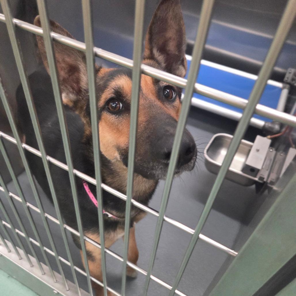 SUNSTORM — thumbnail 4