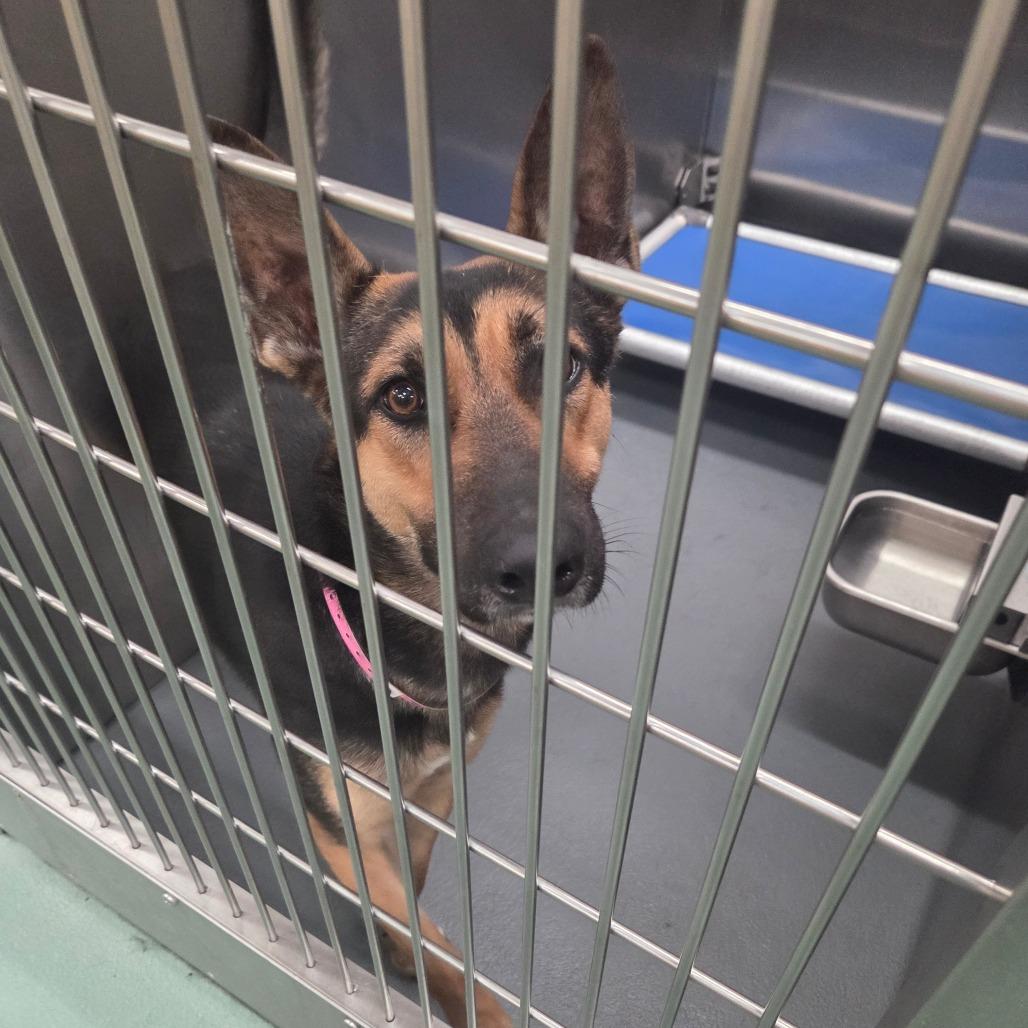 SUNSTORM — thumbnail 5