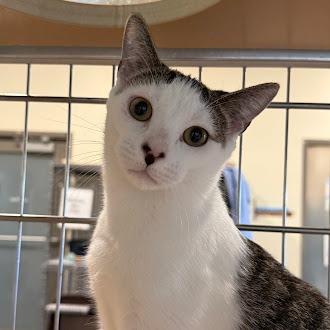 Sweet Tart — thumbnail 2