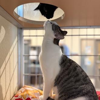 Sweet Tart — thumbnail 4