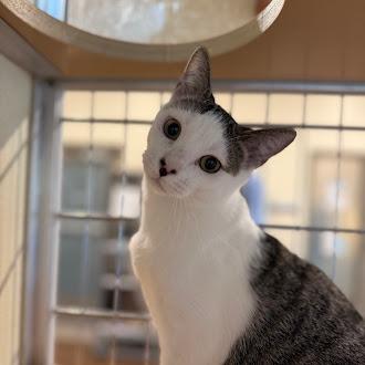 Sweet Tart — thumbnail 5