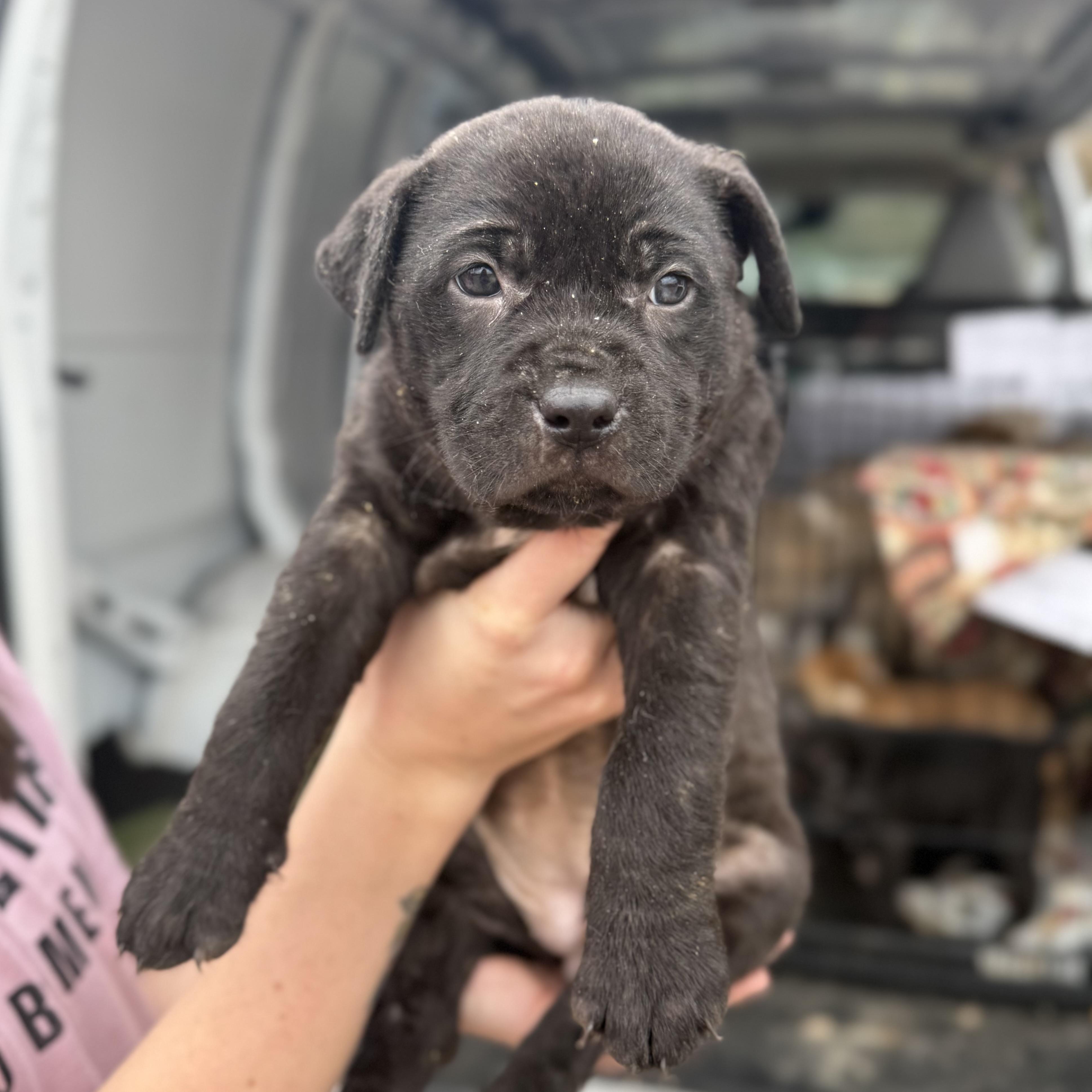 Division — thumbnail 5