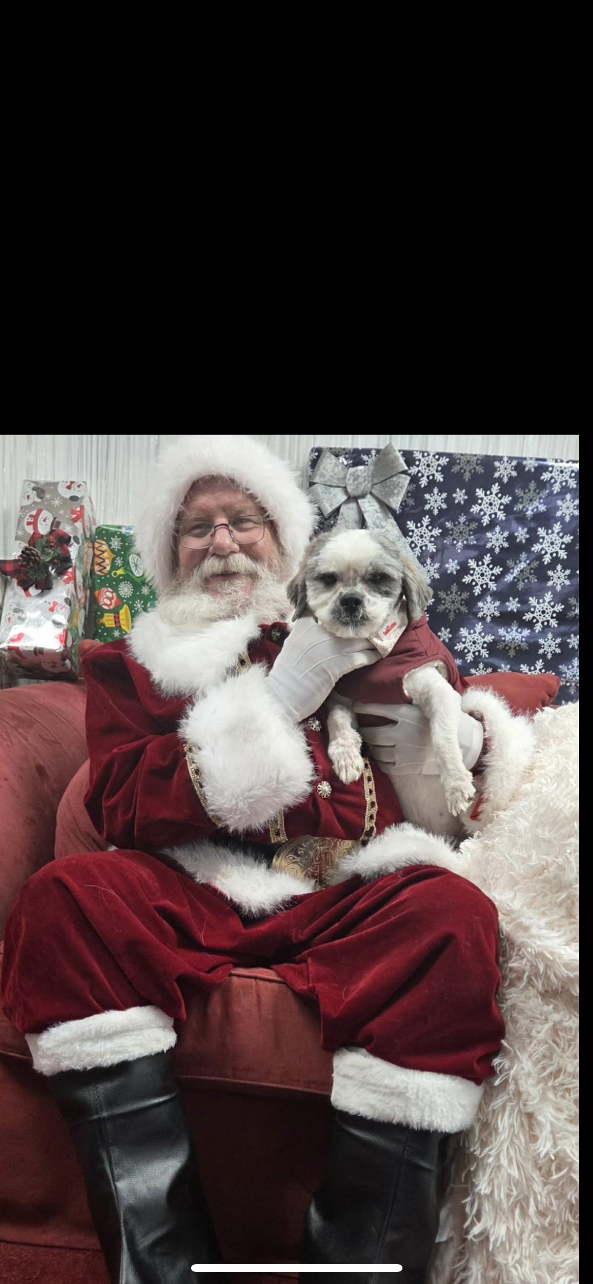 Enlarge Owen, a Adoptable mixed breed in Hamden, CT image 2/6