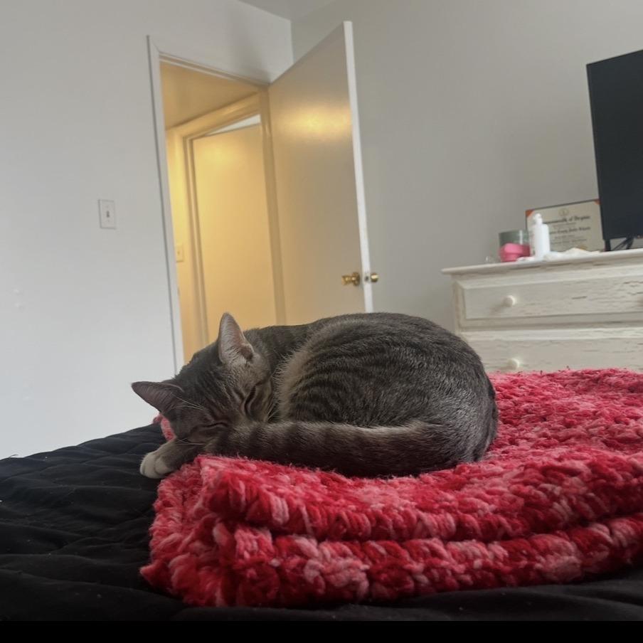 Vaida — thumbnail 3