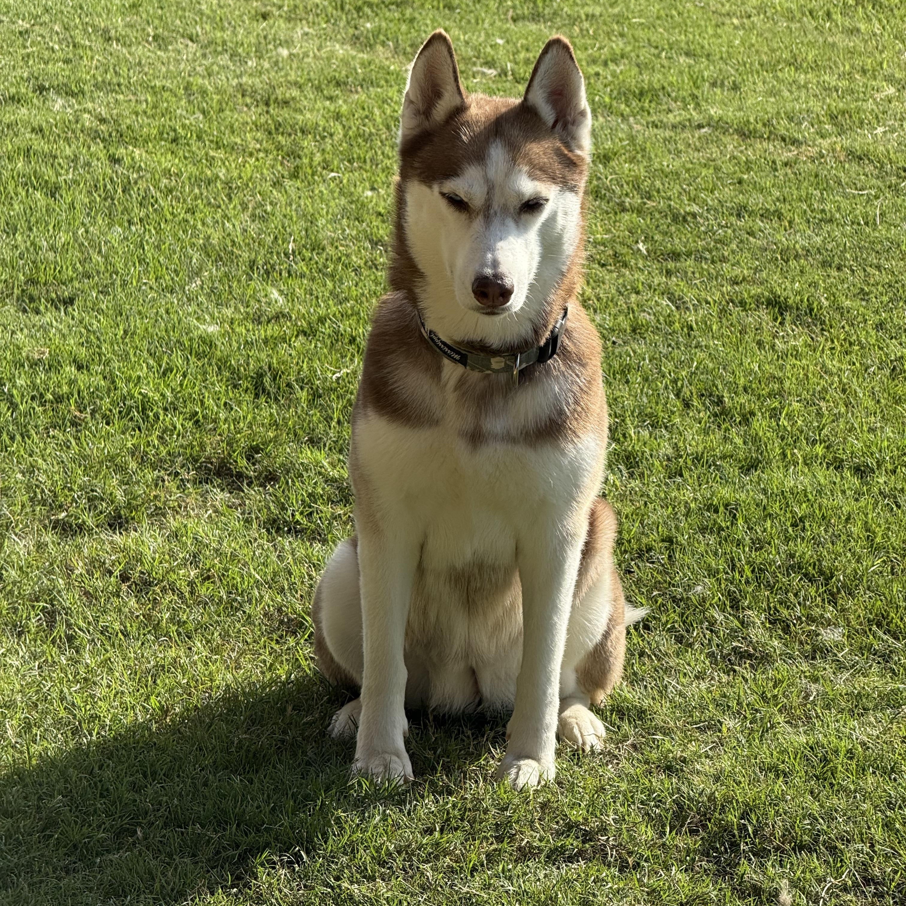 Lola 4