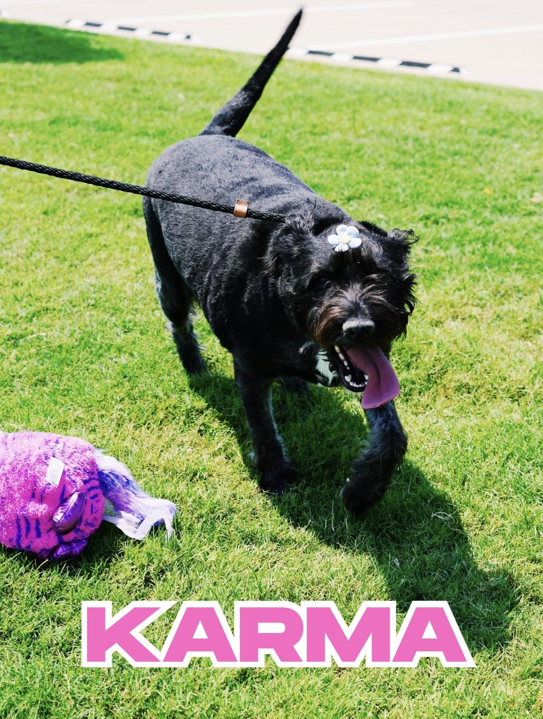 Karma