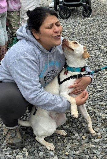 Pumpkin, a ADOPTABLE mixed breed in Bedford Hills, NY image 6/6