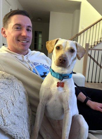 Enlarge Pumpkin, a ADOPTABLE mixed breed in Bedford Hills, NY image 4/5