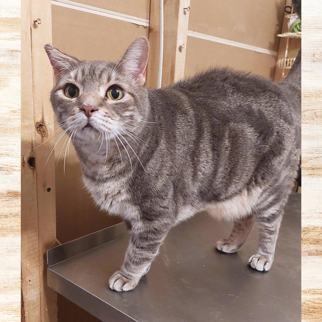 Sammy (w/Snuggles), Adult Male unknown