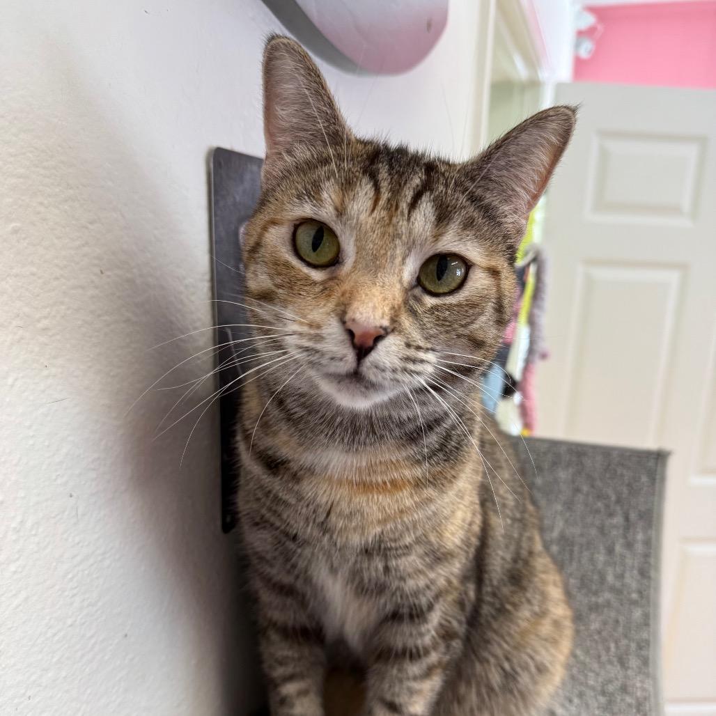 Lady Liberty thumbnail 2