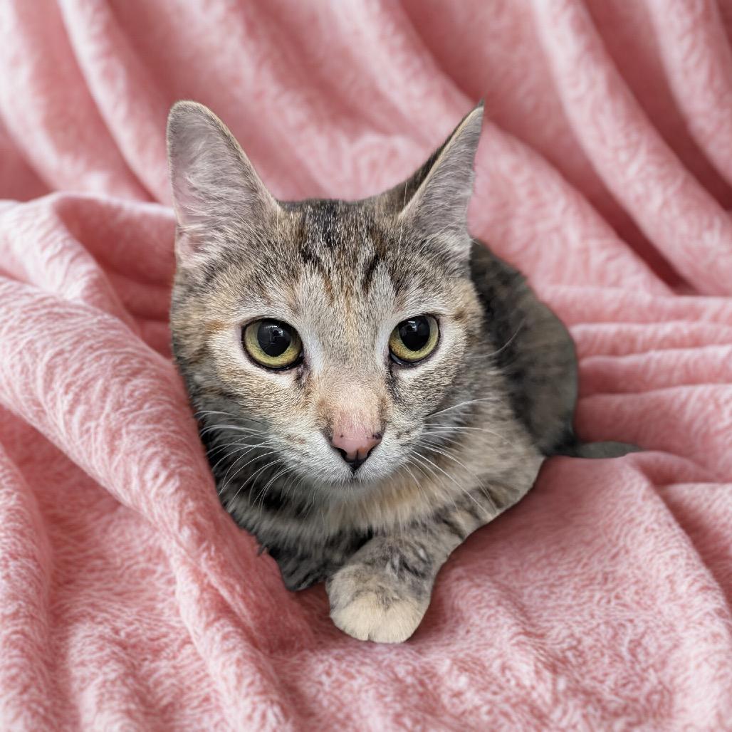 Lady Liberty thumbnail 3