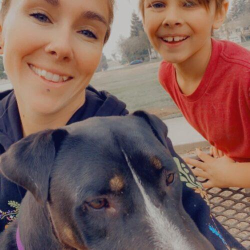 Elmer, Adoptable, Senior Male Mixed Breed.