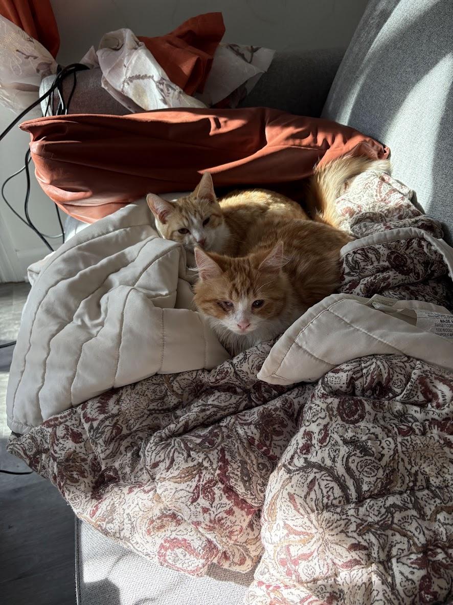 Hannibal and Templeton - The Orange Bros