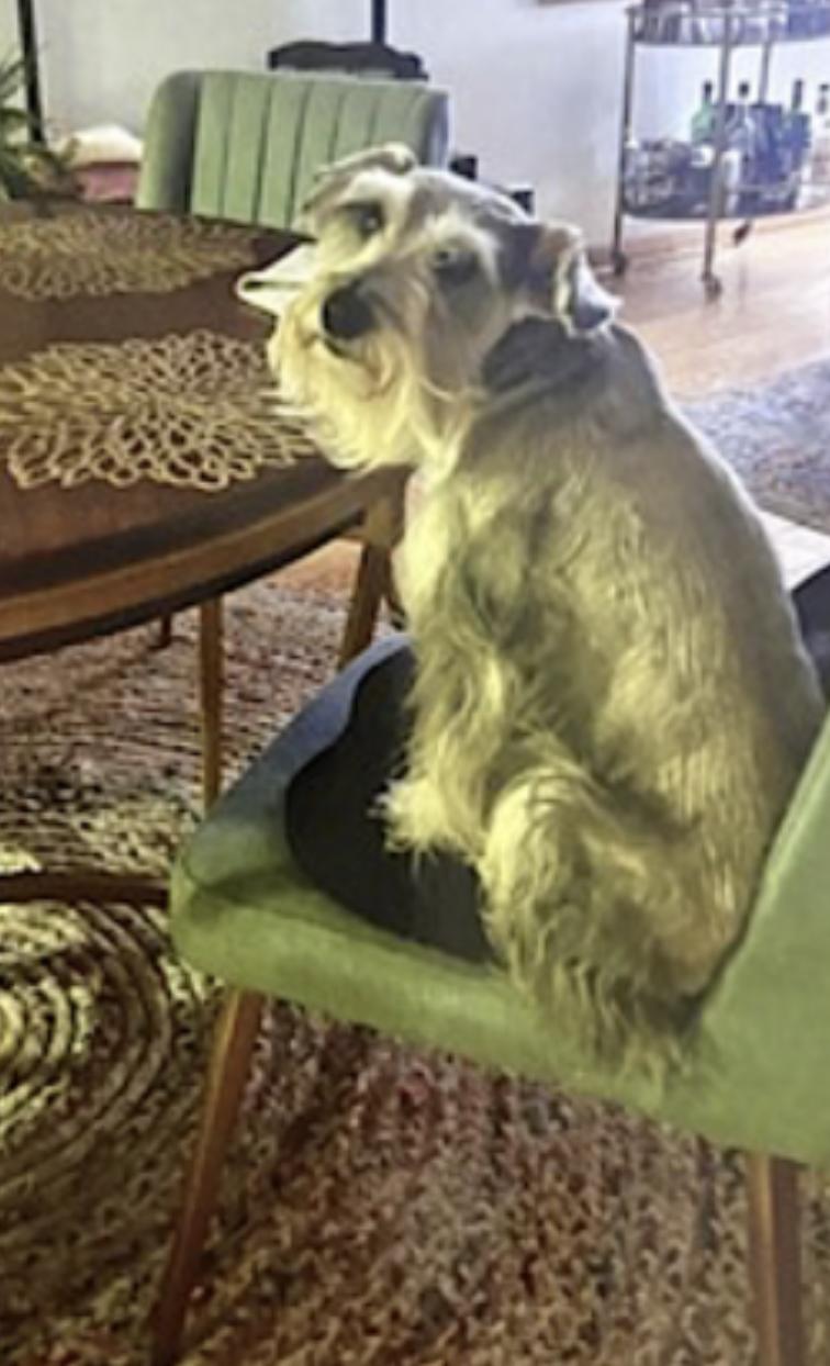 Marvel — thumbnail 3